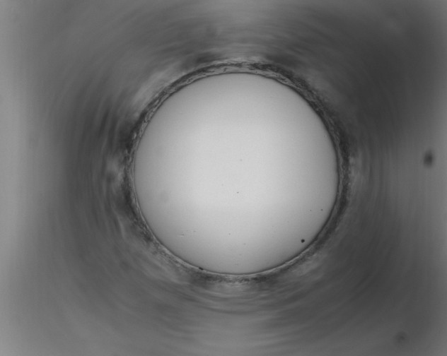 X0000116371257200912231308