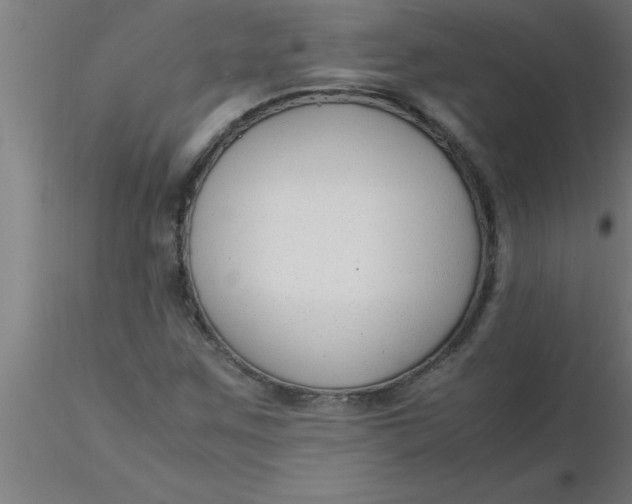 X0000116371259200912231308