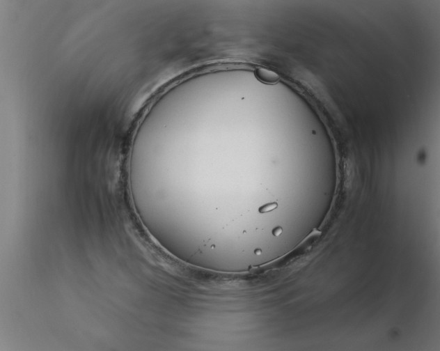 X0000116371260200912231308