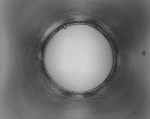 X0000116371261200912231308