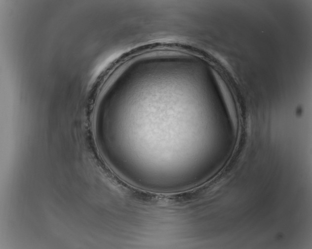 X0000116371263200912231308