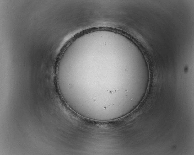 X0000116371264200912231308