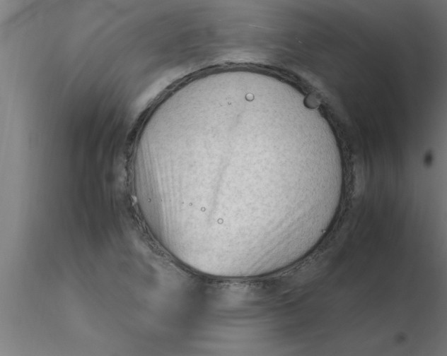 X0000116371266200912231308