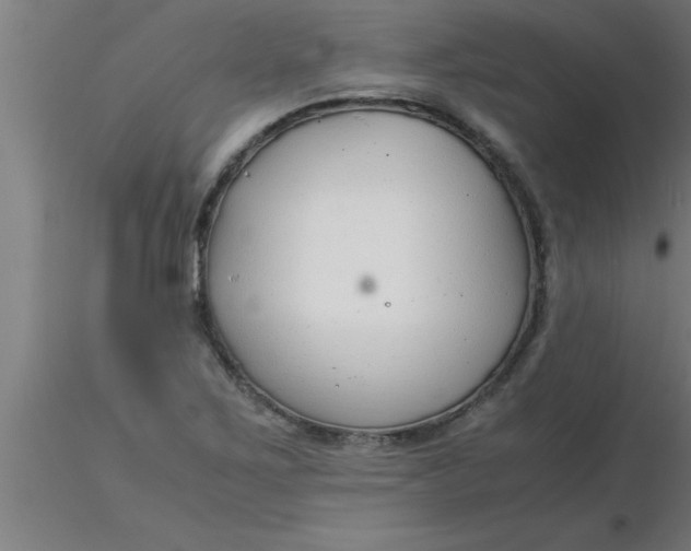 X0000116371267200912231308