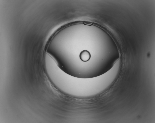 X0000116371272200912231308