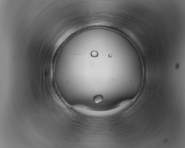 X0000116371274200912231308