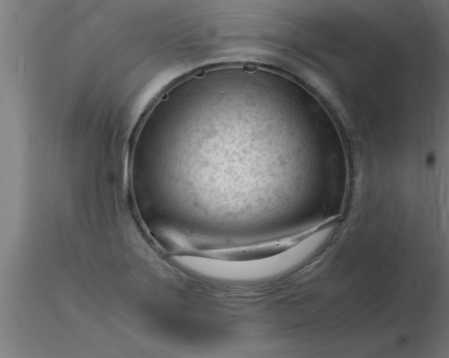 X0000116371275200912231308