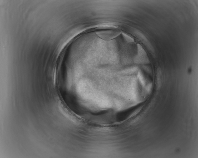 X0000116371276200912231308