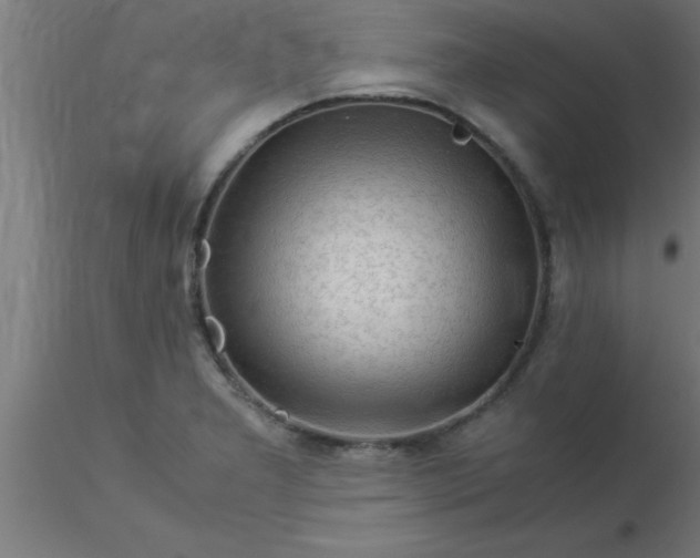 X0000116371277200912231308