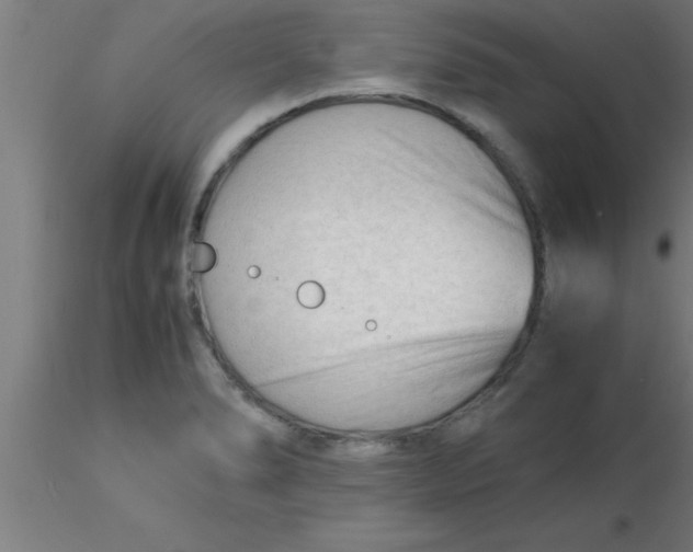 X0000116371278200912231308