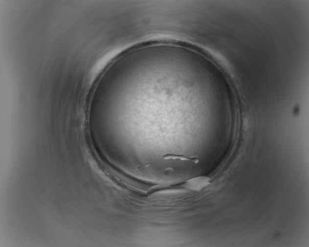 X0000116371279200912231308