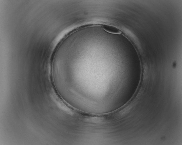 X0000116371280200912231308