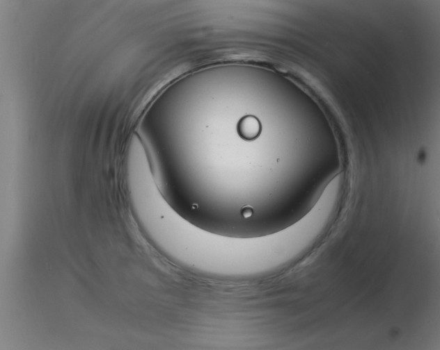 X0000116371281200912231308