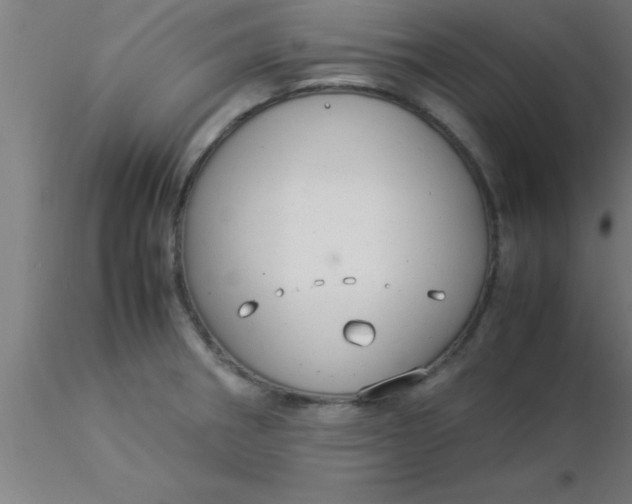 X0000116371282200912231308