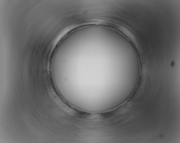 X0000116371283200912231308