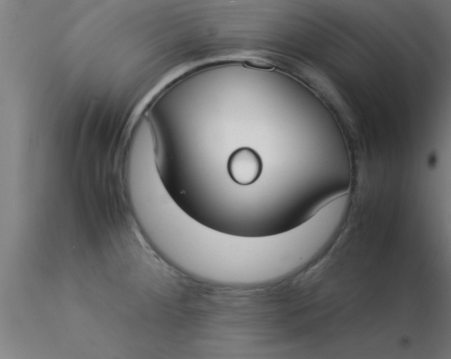 X0000116371284200912231308