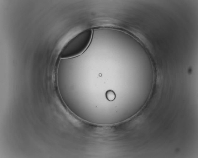 X0000116371285200912231308