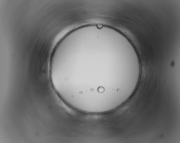 X0000116371286200912231308