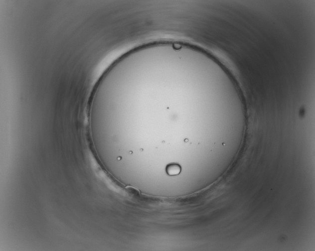 X0000116371287200912231308