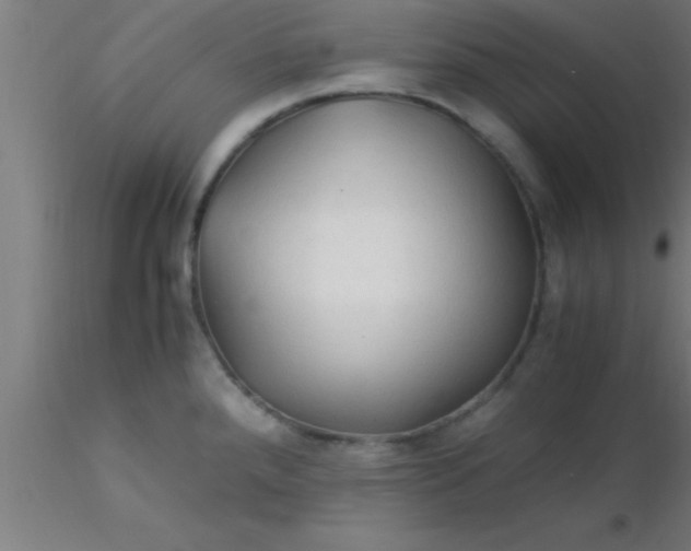 X0000116371288200912231308