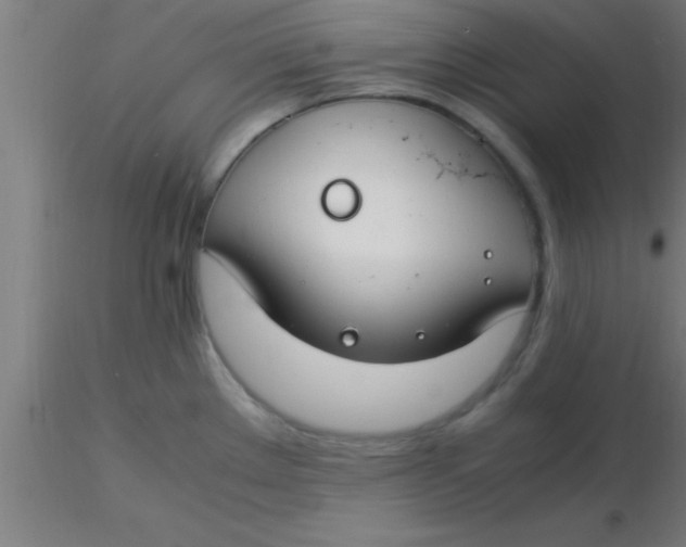 X0000116371289200912231308