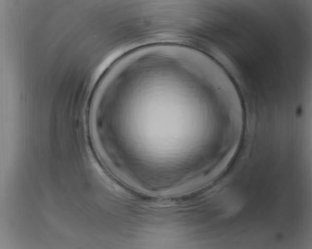 X0000116371291200912231308