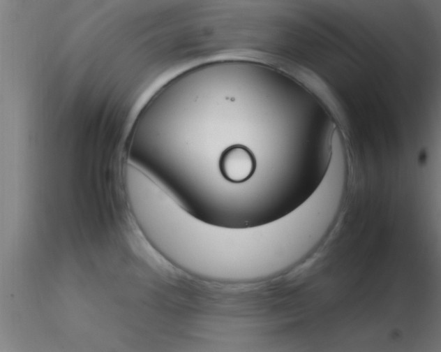 X0000116371292200912231308