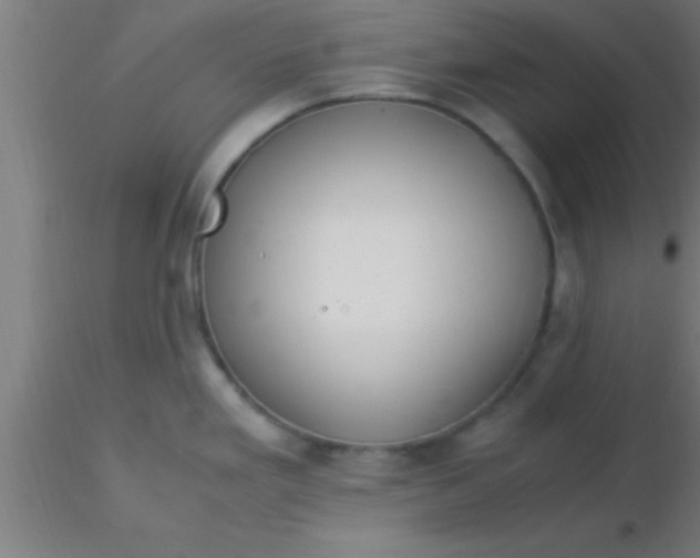 X0000116371293200912231308