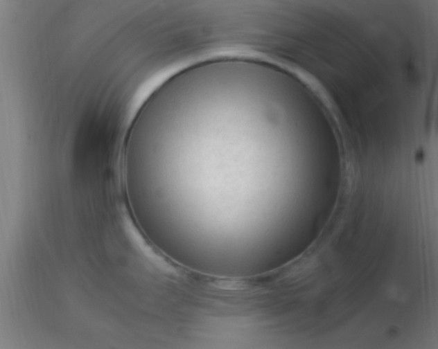 X0000116371295200912231308