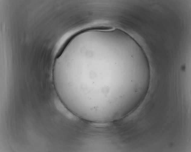 X0000116371296200912231308