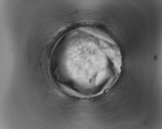 X0000116371297200912231307