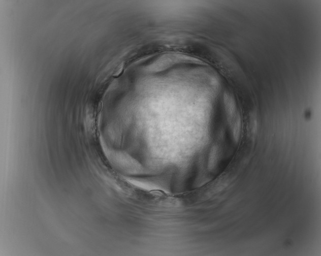 X0000116371298200912231307