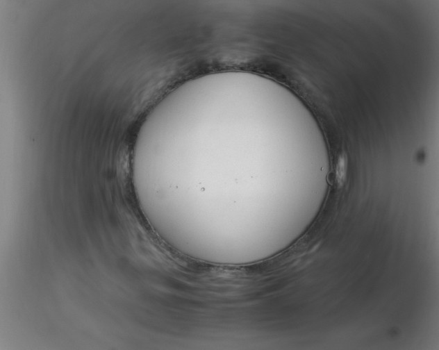 X0000116371299200912231307