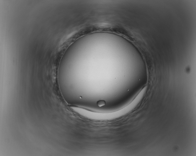 X0000116371301200912231307