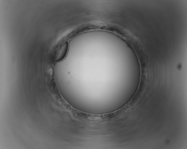 X0000116371302200912231307