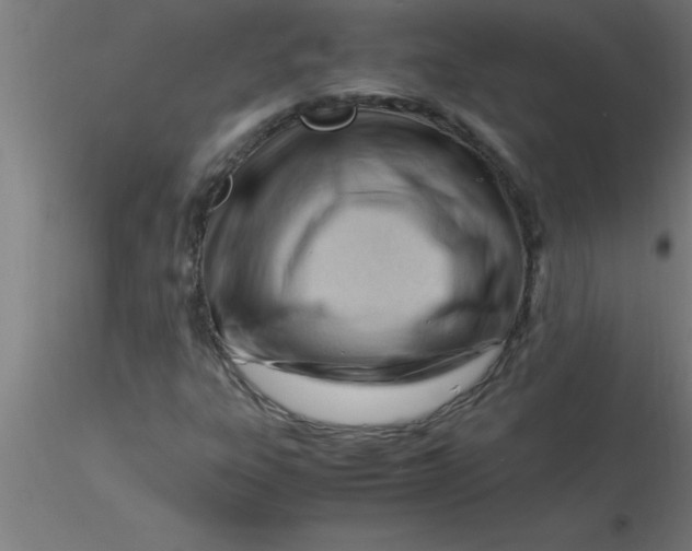 X0000116371303200912231307