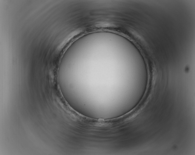 X0000116371305200912231307