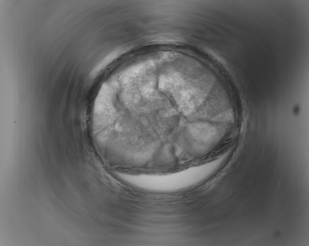 X0000116371306200912231307