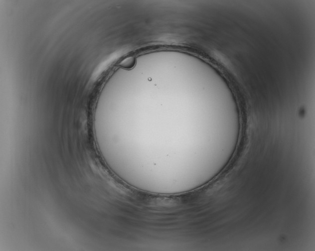 X0000116371307200912231307