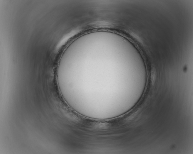 X0000116371309200912231307