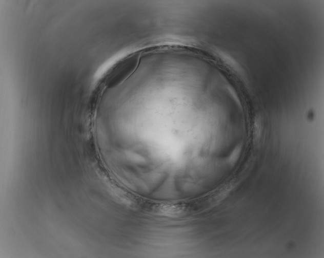 X0000116371310200912231307