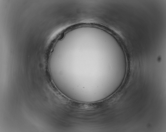 X0000116371311200912231307