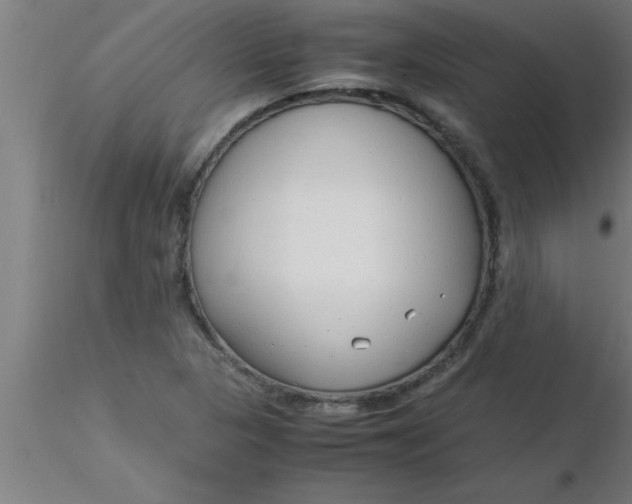 X0000116371313200912231307