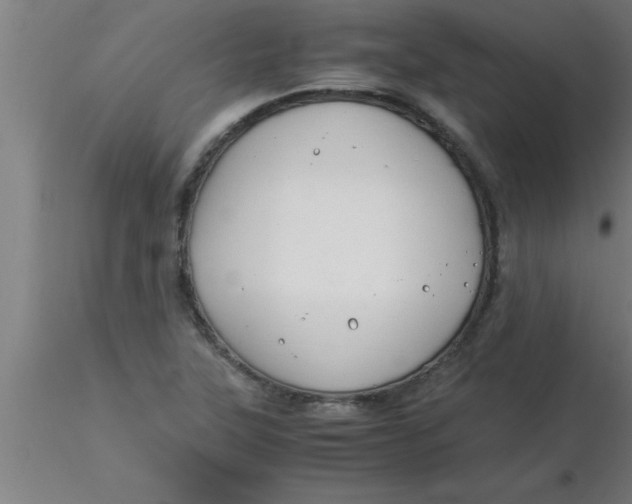 X0000116371315200912231307