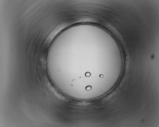 X0000116371321200912231307