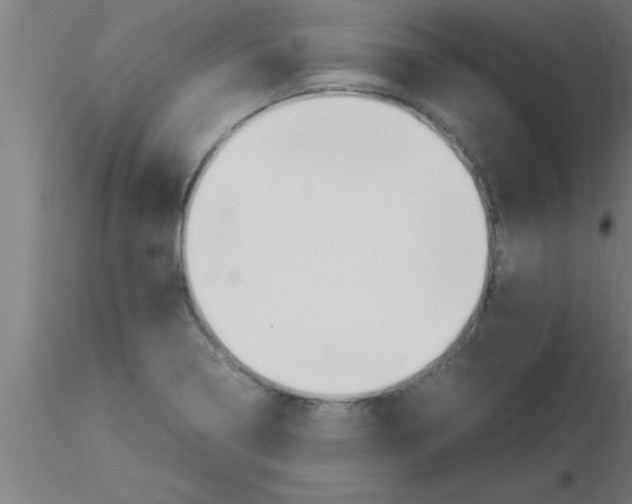 X0000116371322200912231307