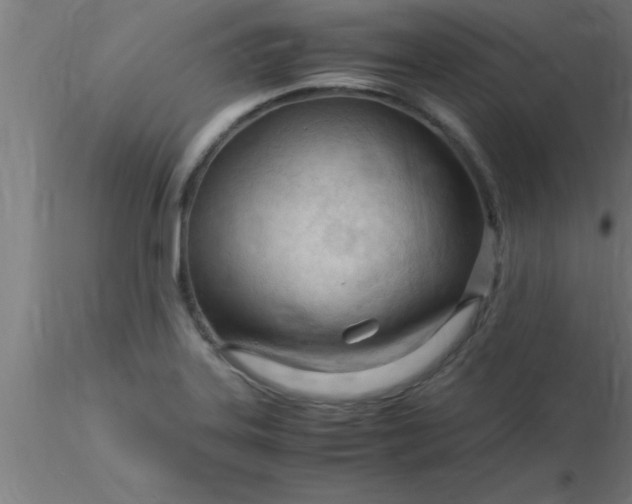 X0000116371323200912231307