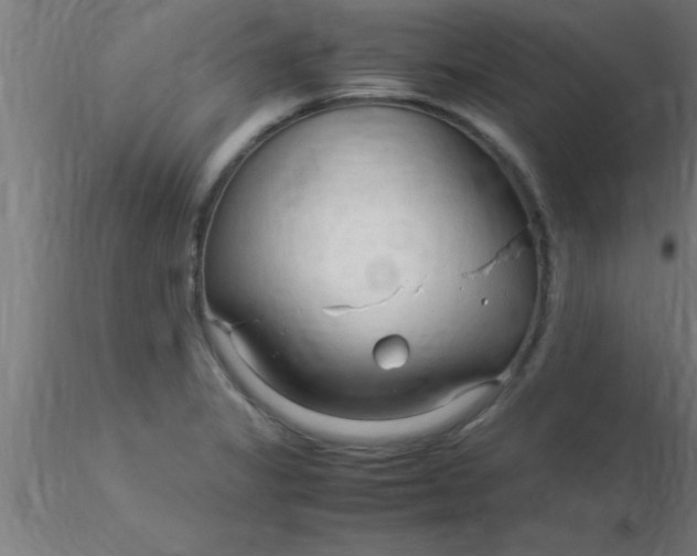 X0000116371325200912231307