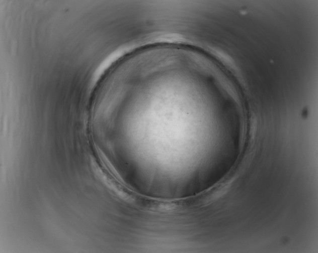 X0000116371326200912231308