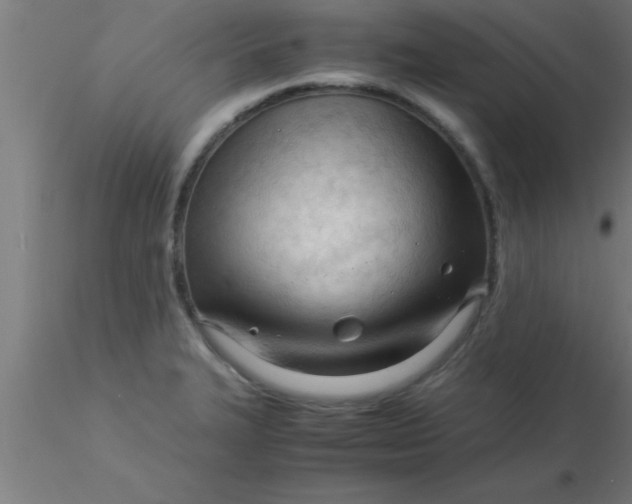 X0000116371327200912231308